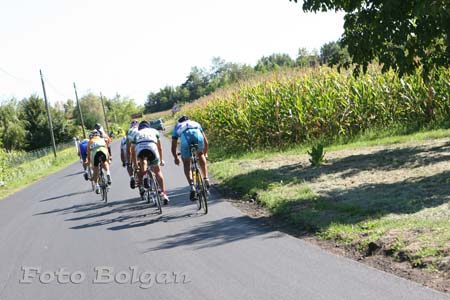 237_Trittico3Tappa