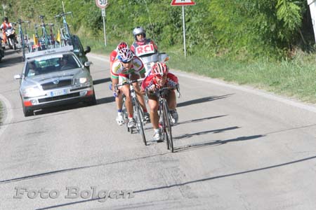 347_Trittico3Tappa