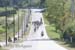 409_Trittico3Tappa