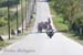 421_Trittico3Tappa
