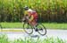 229_08_1Tappa_Trittico