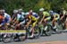 235_08_1Tappa_Trittico