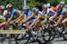 239_08_1Tappa_Trittico