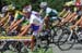 242_08_1Tappa_Trittico