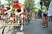 292_08_3Tappa_Trittico
