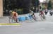 343_08_3Tappa_Trittico