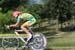 538_08_4T_km11_Trittico