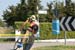 0517_08_4T_km6_Trittico