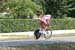 0875_08_4T_km6_Trittico