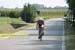0994_08_4T_km6_Trittico