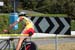 1284_08_4T_km6_Trittico