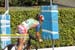 1445_08_4T_km6_Trittico