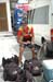 001_07_4_veneto